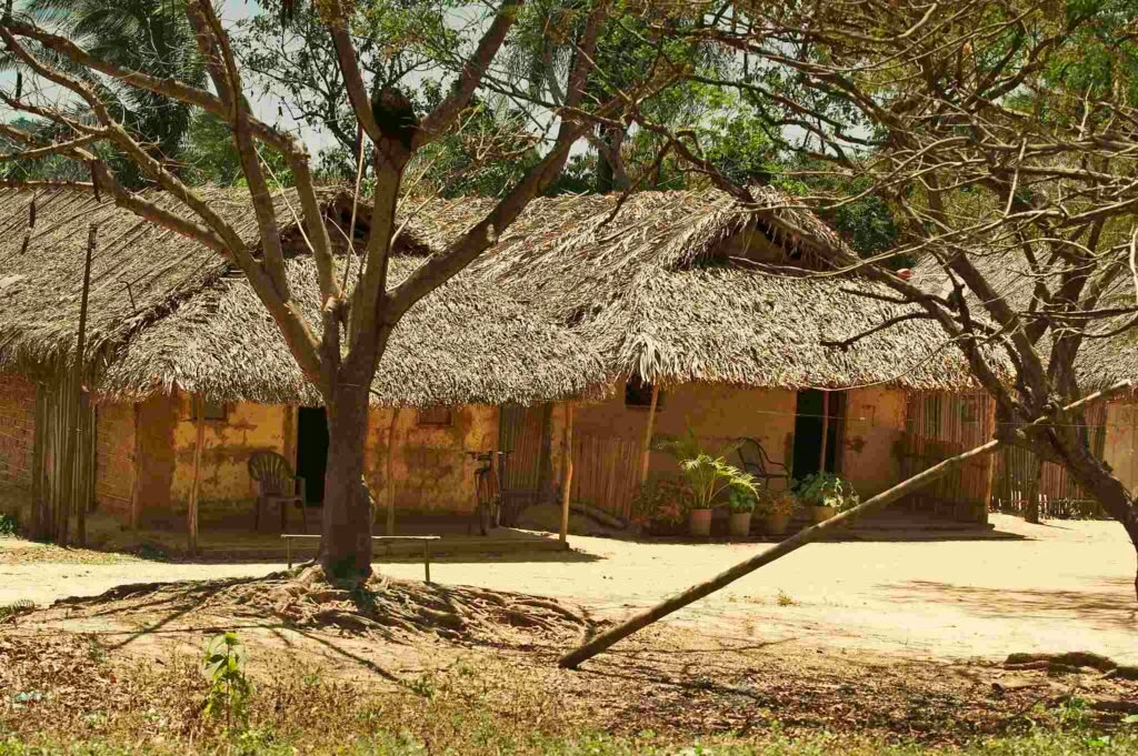 casas de taipa no maranhao 1
